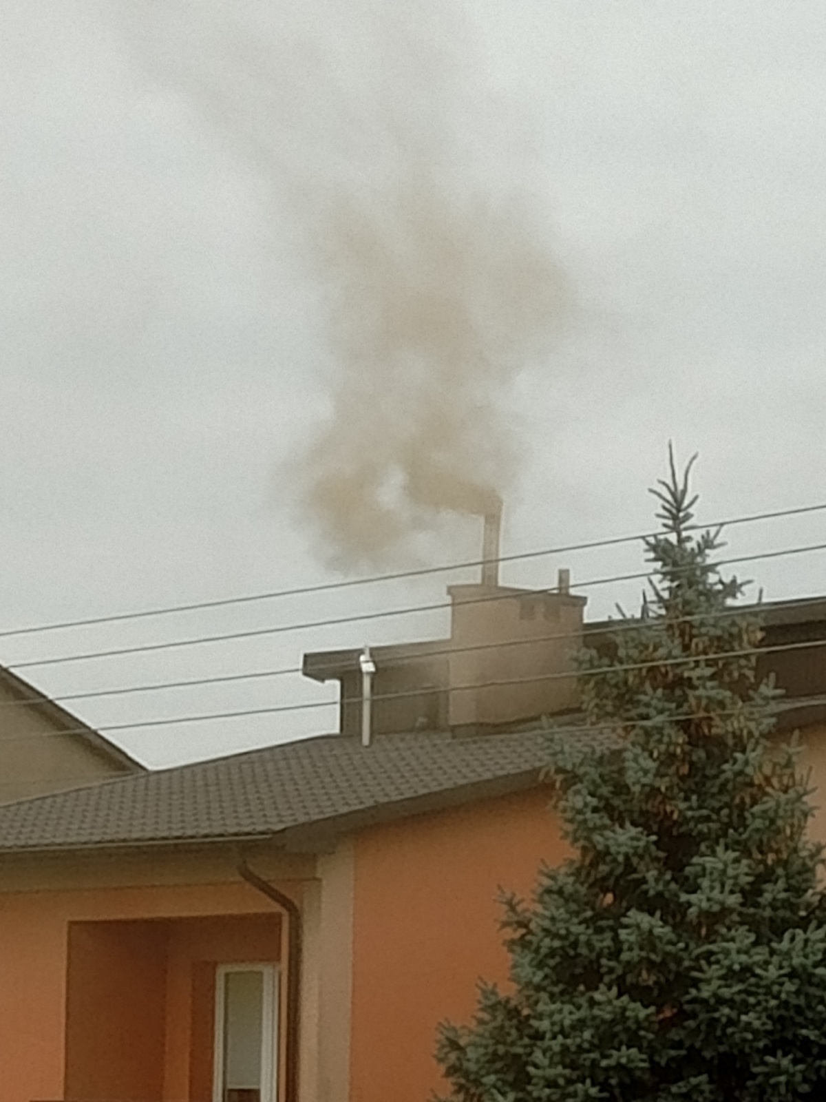 ff355b14-ce43-46d7-a5b6-f1e5dd5cf057