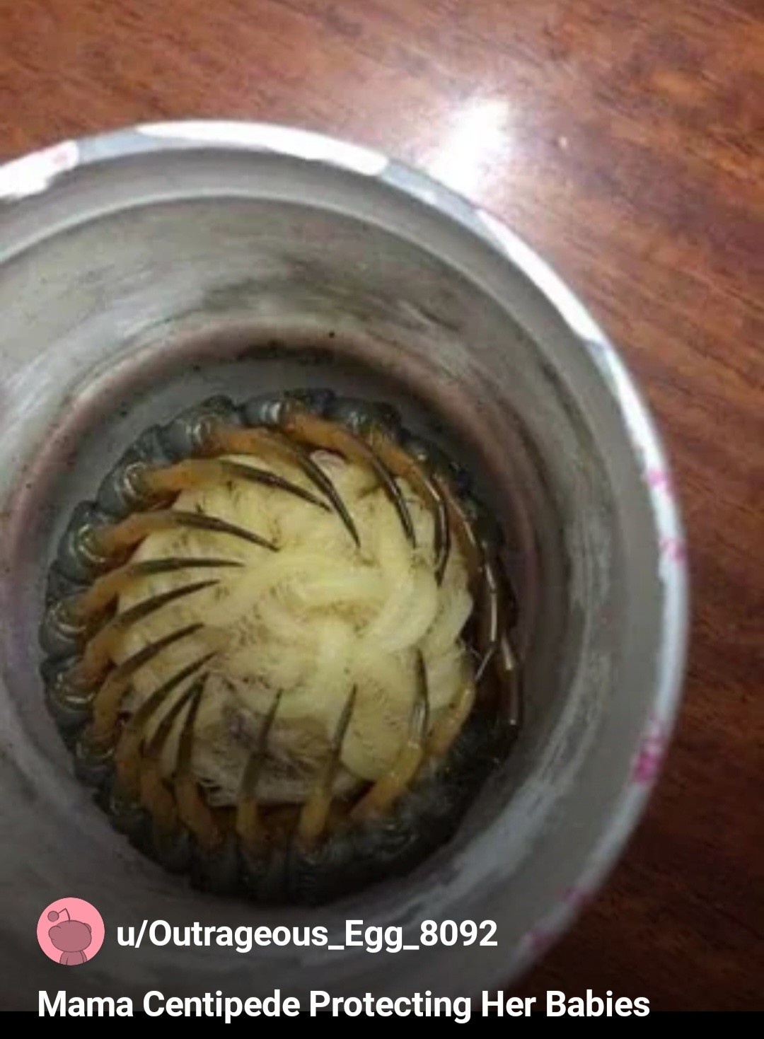 f64fd22a-7042-47f2-a91b-07ad6121021b