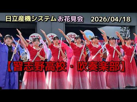 Narashino High School - Hitachi Industrial Equipment Systems Cherry Blossom Viewing Party, 2026-04-18