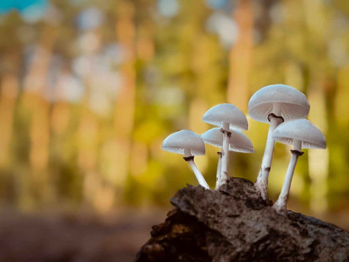 10dd6e1e-4550-4dfe-aa1f-8c91416d7be0