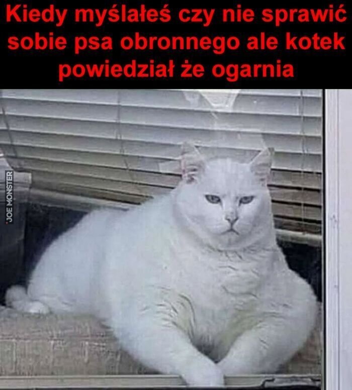 46aaedc4-a2da-447f-b3e0-b54a964da08b