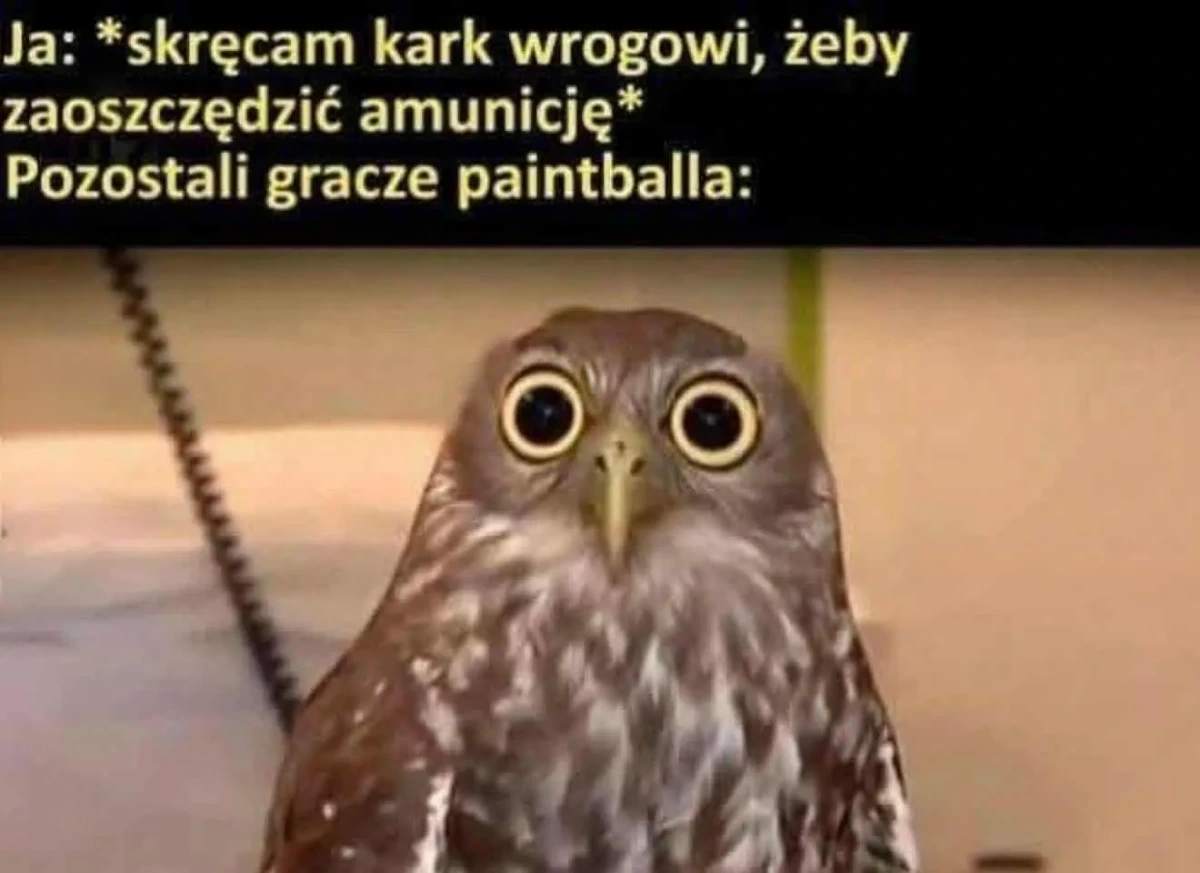 f07b4f0b-f6ef-491c-8c07-db357294a009