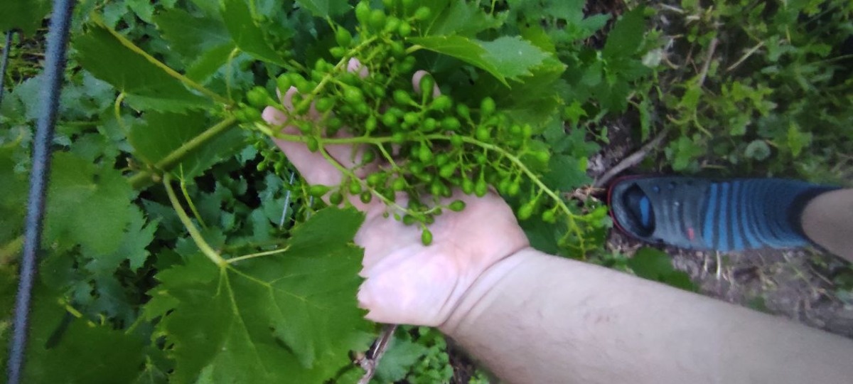 9f84644a-a95a-46ec-bf0b-2c778b09d392