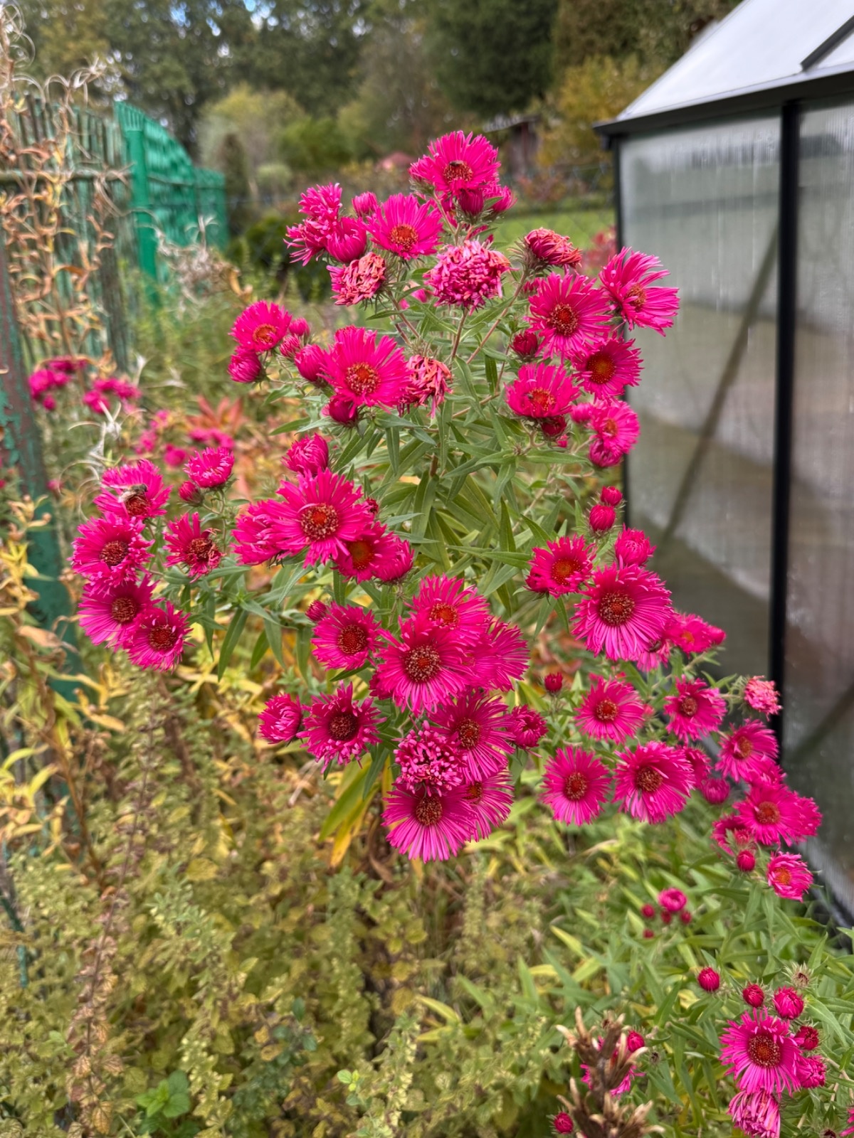 cfd9d8a3-7791-4c6b-8762-100883c9dbe5