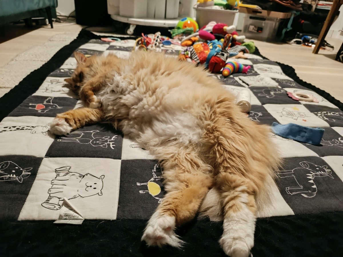 e2de50bf-ef01-4775-851d-cfe21a6587e7