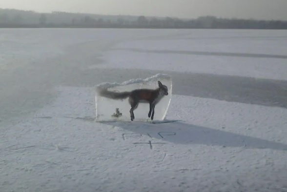 2f41bf51-4baf-481b-a684-b1fbb09a29b9