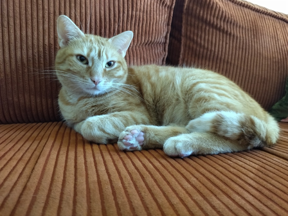 340ea040-0a56-4964-b5e9-92504631e8e5