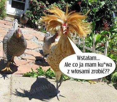 4cc98a95-9120-400a-bb8a-b723c188ad6e