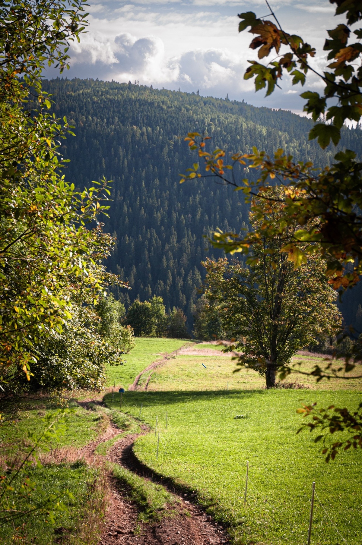 0ba889eb-72f6-43ea-b265-3263fdbaea68