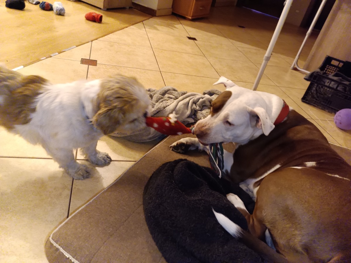 370ad8a7-600f-4f89-a81d-6f4f6061d878