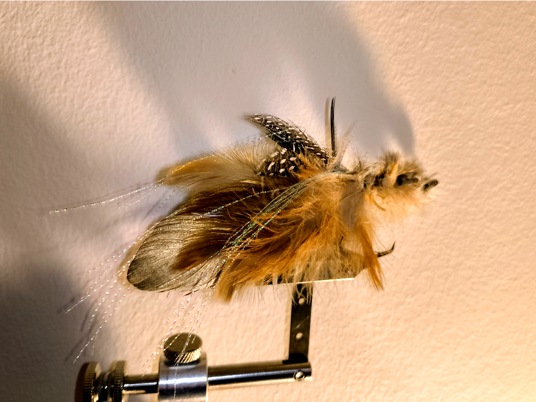 1edb5dc5-aeac-4584-9bce-04c9fe1323c6