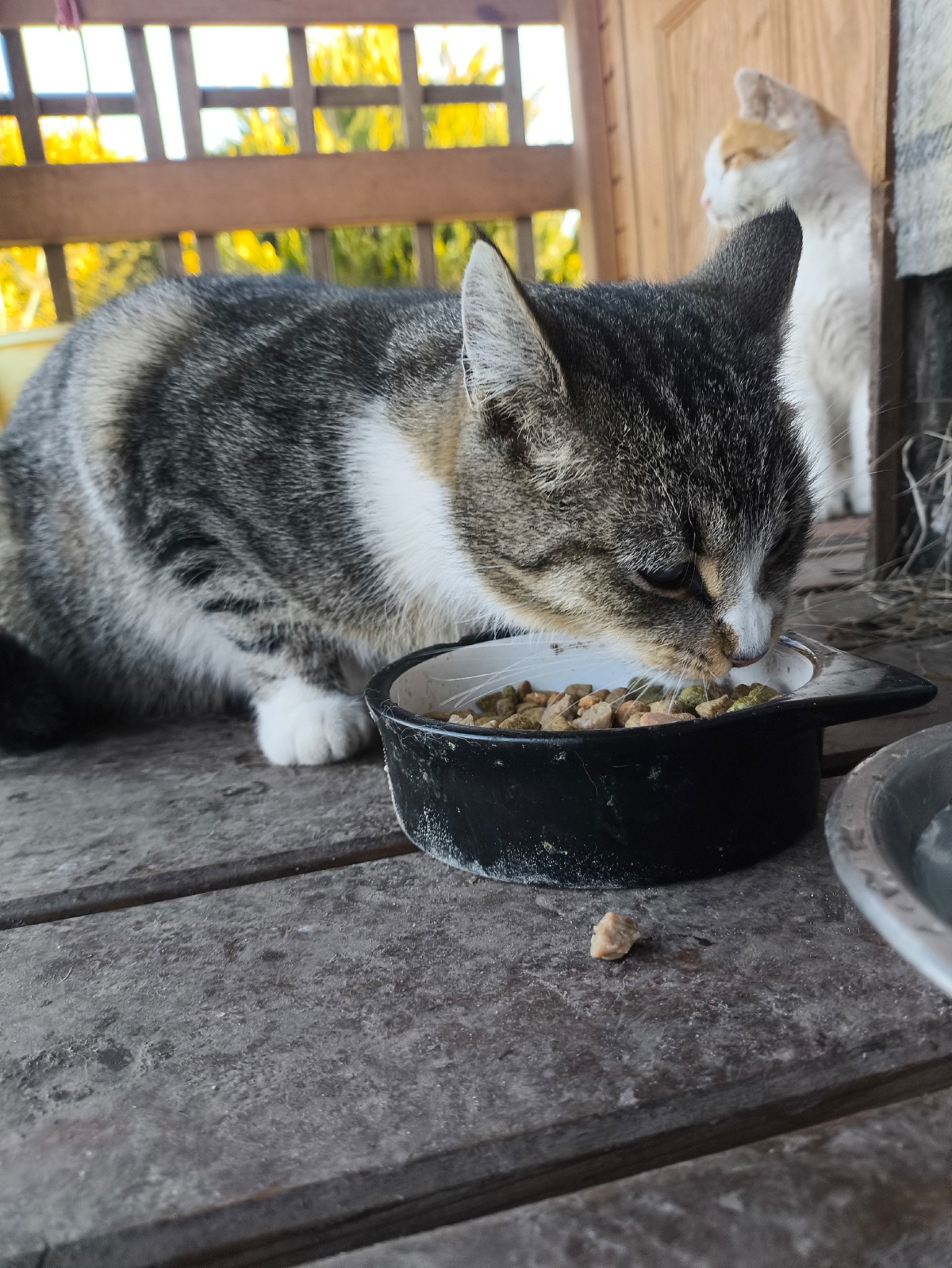 99a9575d-8547-43cd-87b1-b65d7b69a834