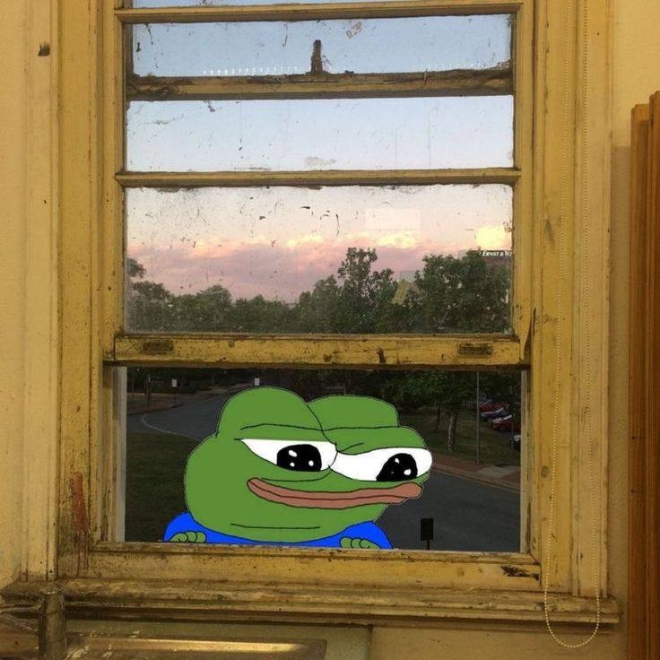 381ffcfe-2903-46ac-b207-0b76558ef896