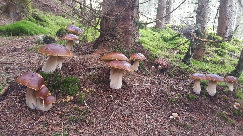 a0b2c2ab-5588-47cf-90d4-947740bc33db