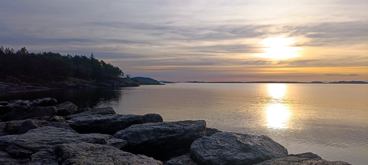 aeef35fb-fbf5-4378-b9f8-25011d2d498f