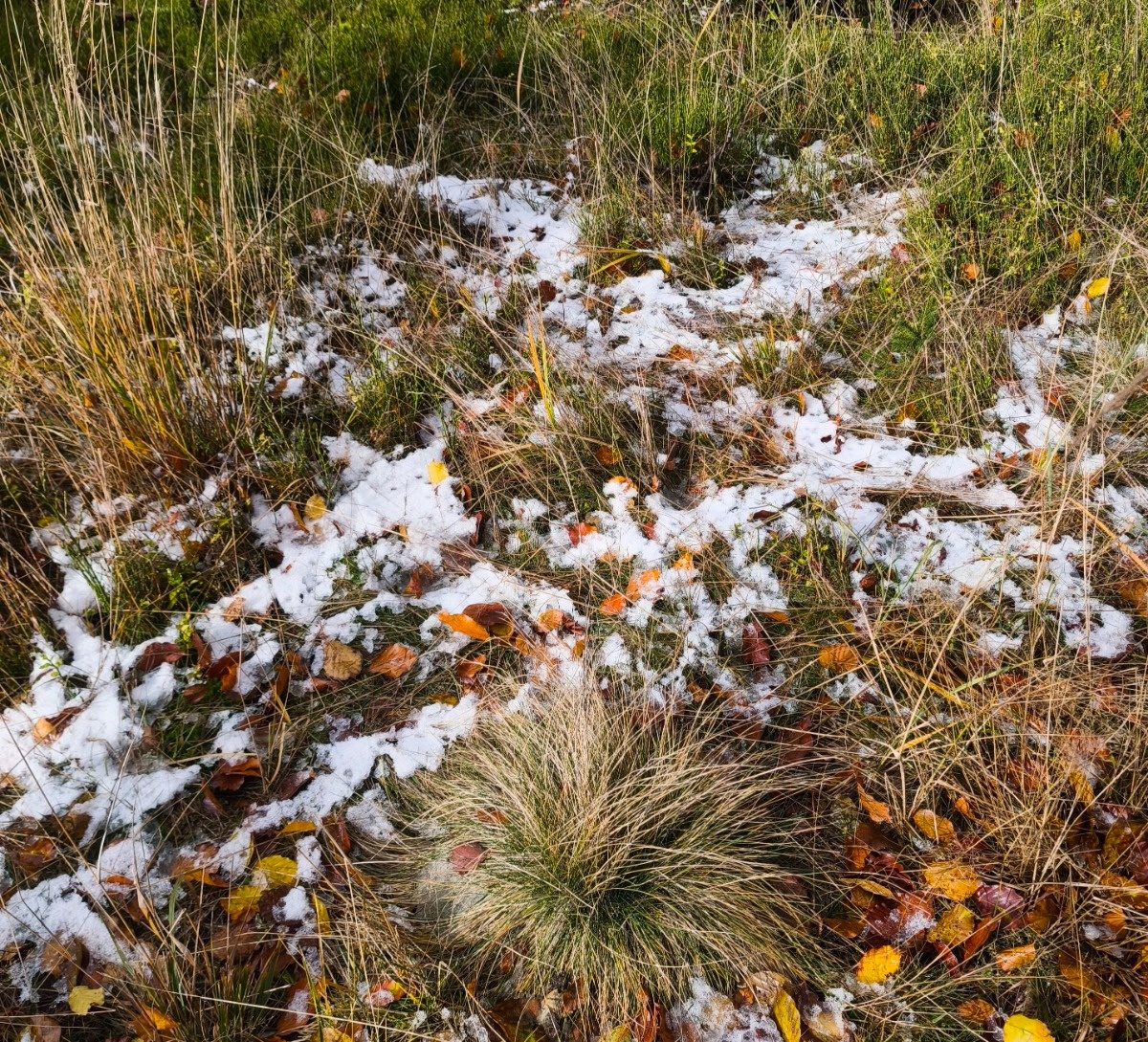 0b23d1fc-6776-4f2f-8aac-47c0b7721343