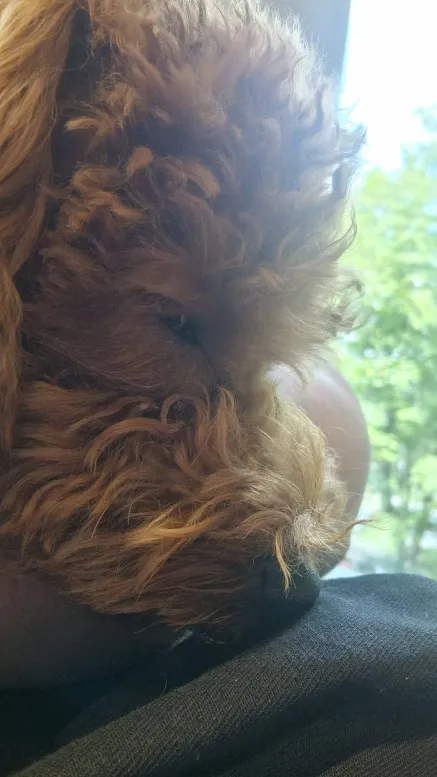 9b3a0f21-4c20-40a8-bed8-15e79440abb0