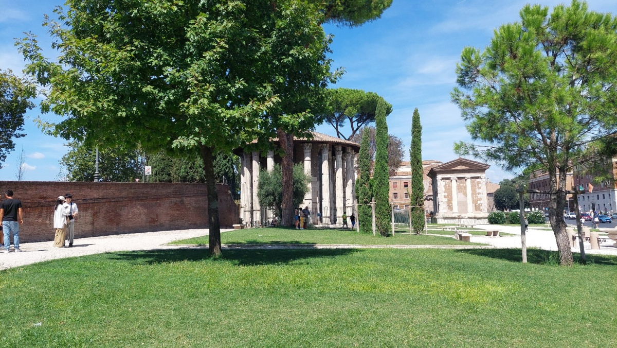 e81f816a-bb2e-43b9-9e0b-9330ded394eb