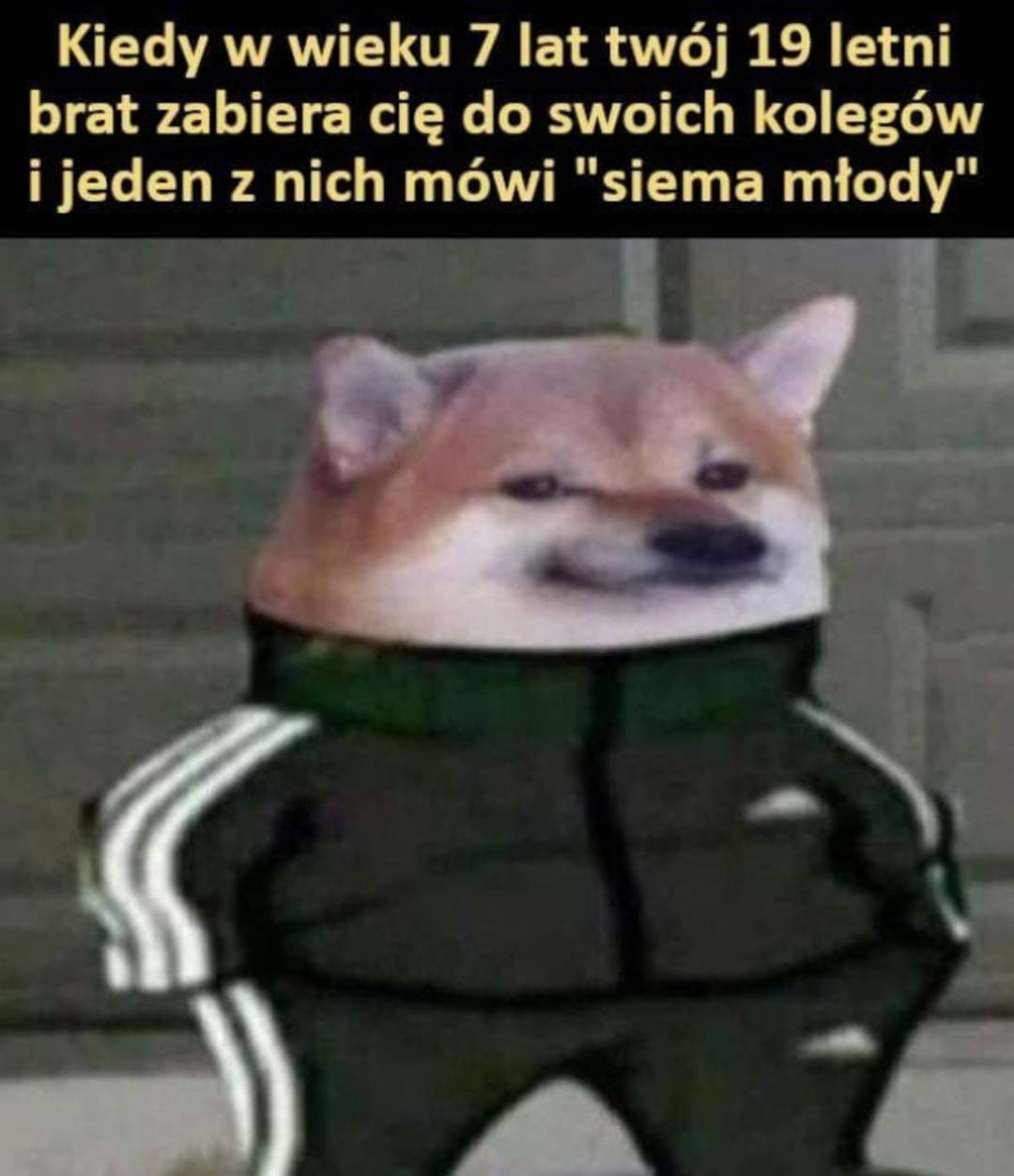 348c3dce-0250-4da2-9481-6c9a88ffba4f