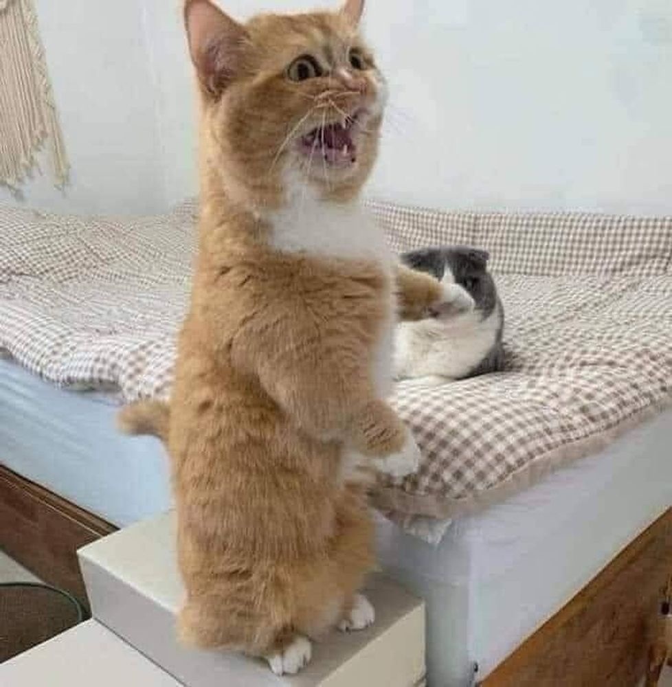 9ce061fc-317d-444c-8d02-ff0d658c2f90