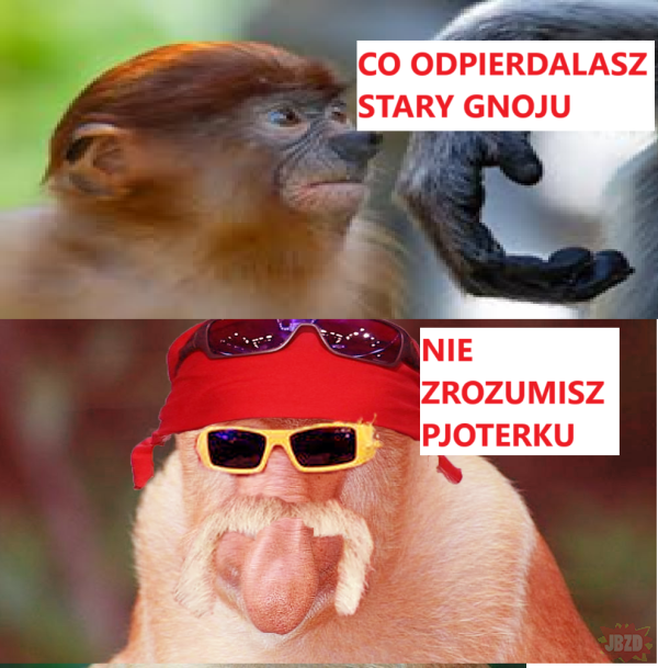 1781d647-7651-4fa1-b8d2-80403afaf5f0