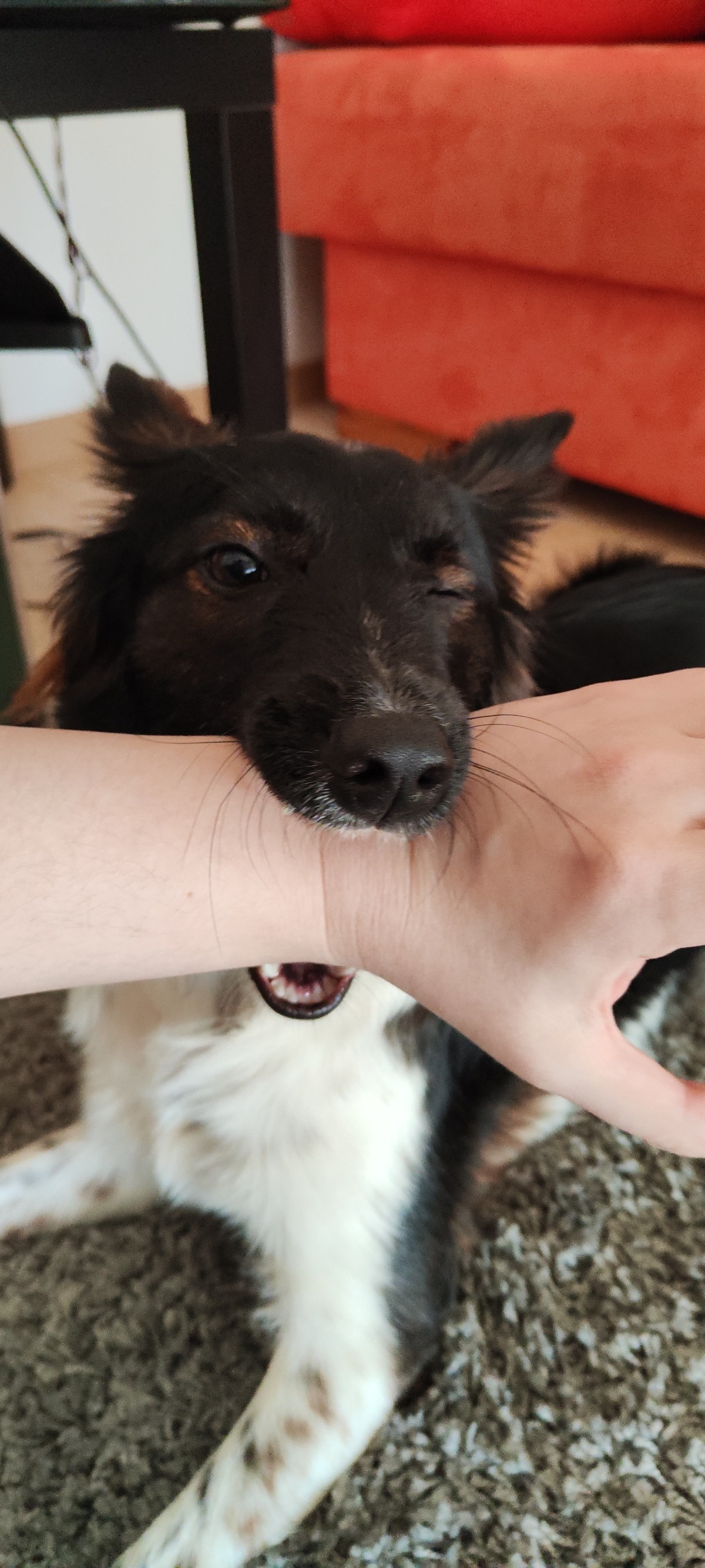 1e13bf35-0029-42aa-817c-d652e51615e3