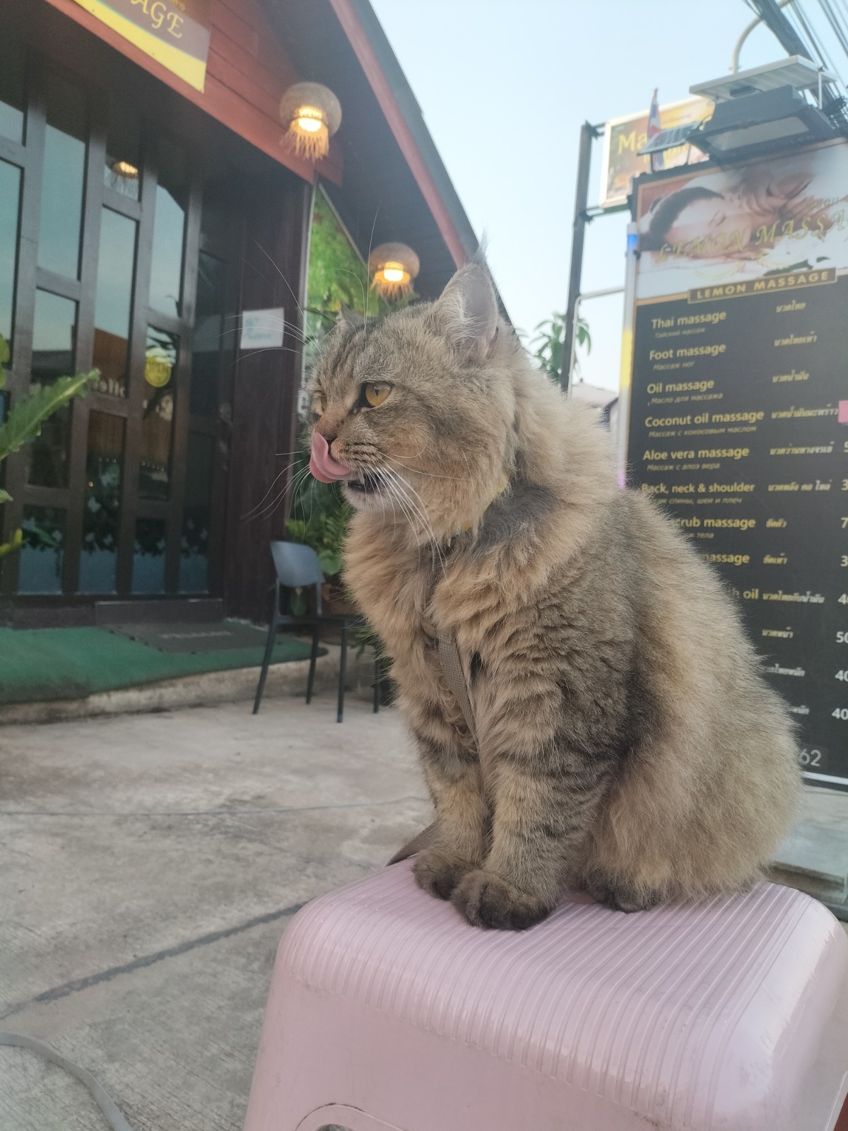 903bbea3-345e-4472-9a2b-b5dcd89008e3