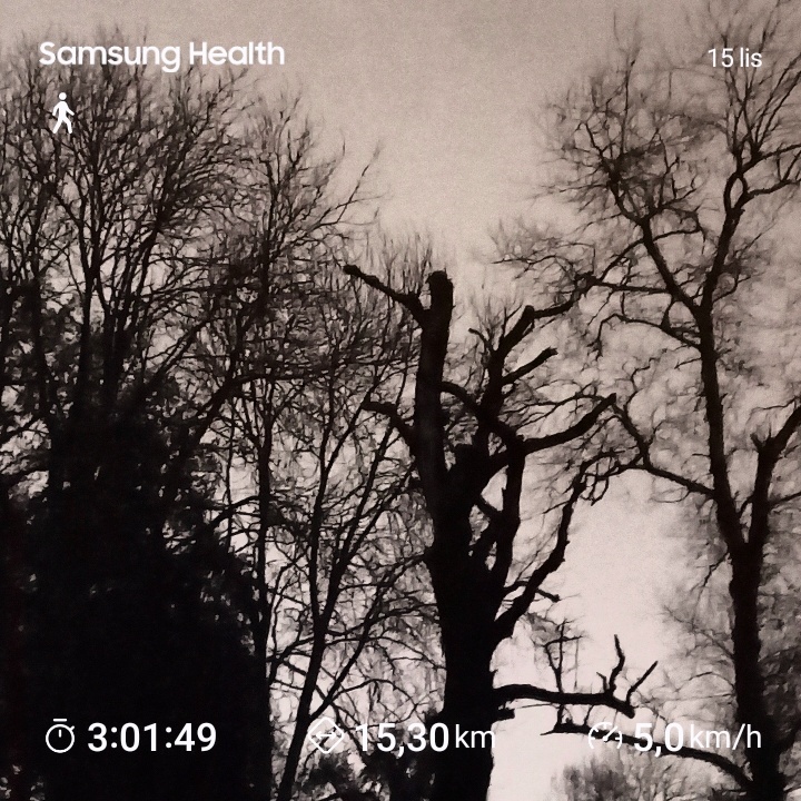 91455079-2cb7-4920-8cd1-a905d9f4d188