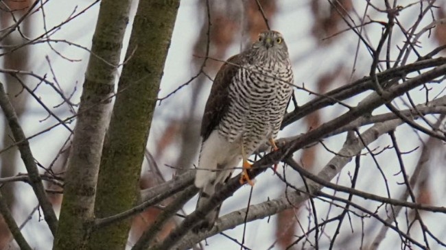 a28eebc7-d305-4cfe-91bc-9819a6f167ed