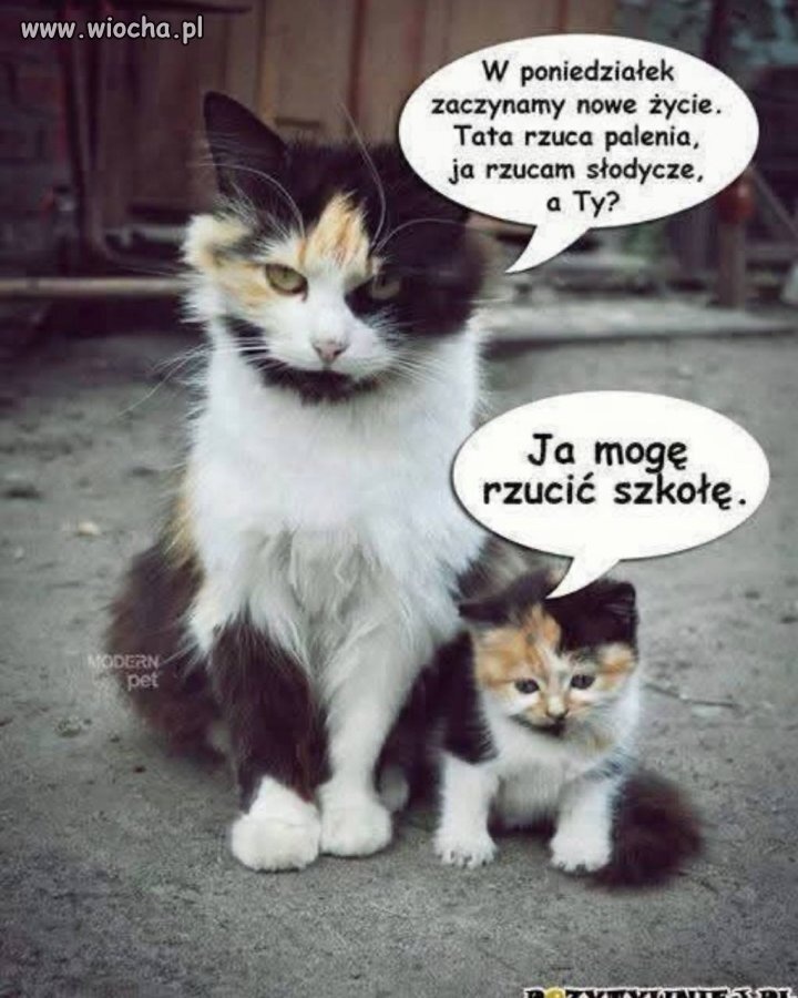 dbcb60e5-e796-4d24-8282-b7ad3e566050