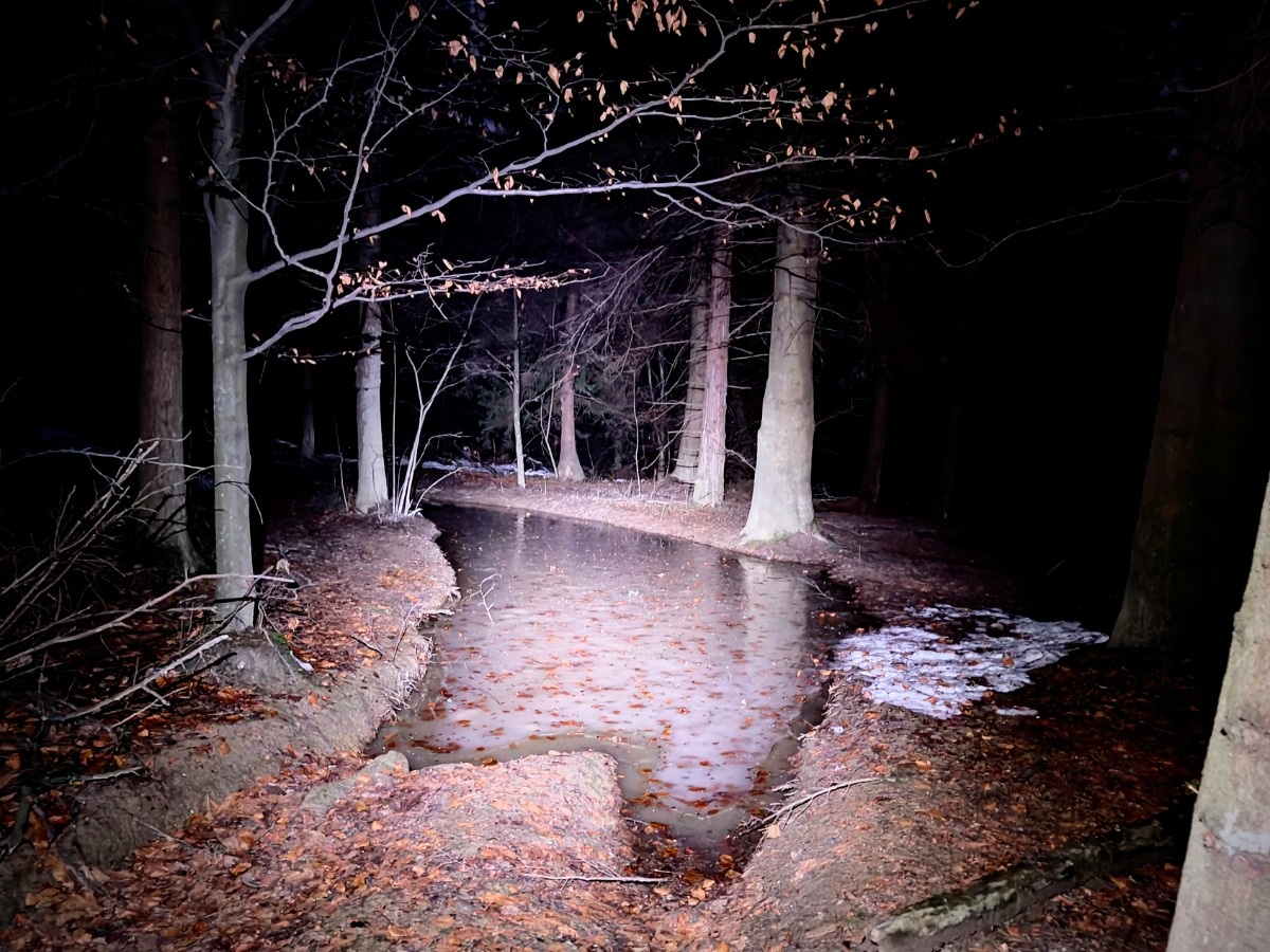 930d24c7-05ac-4eb2-948b-796b74551f3e