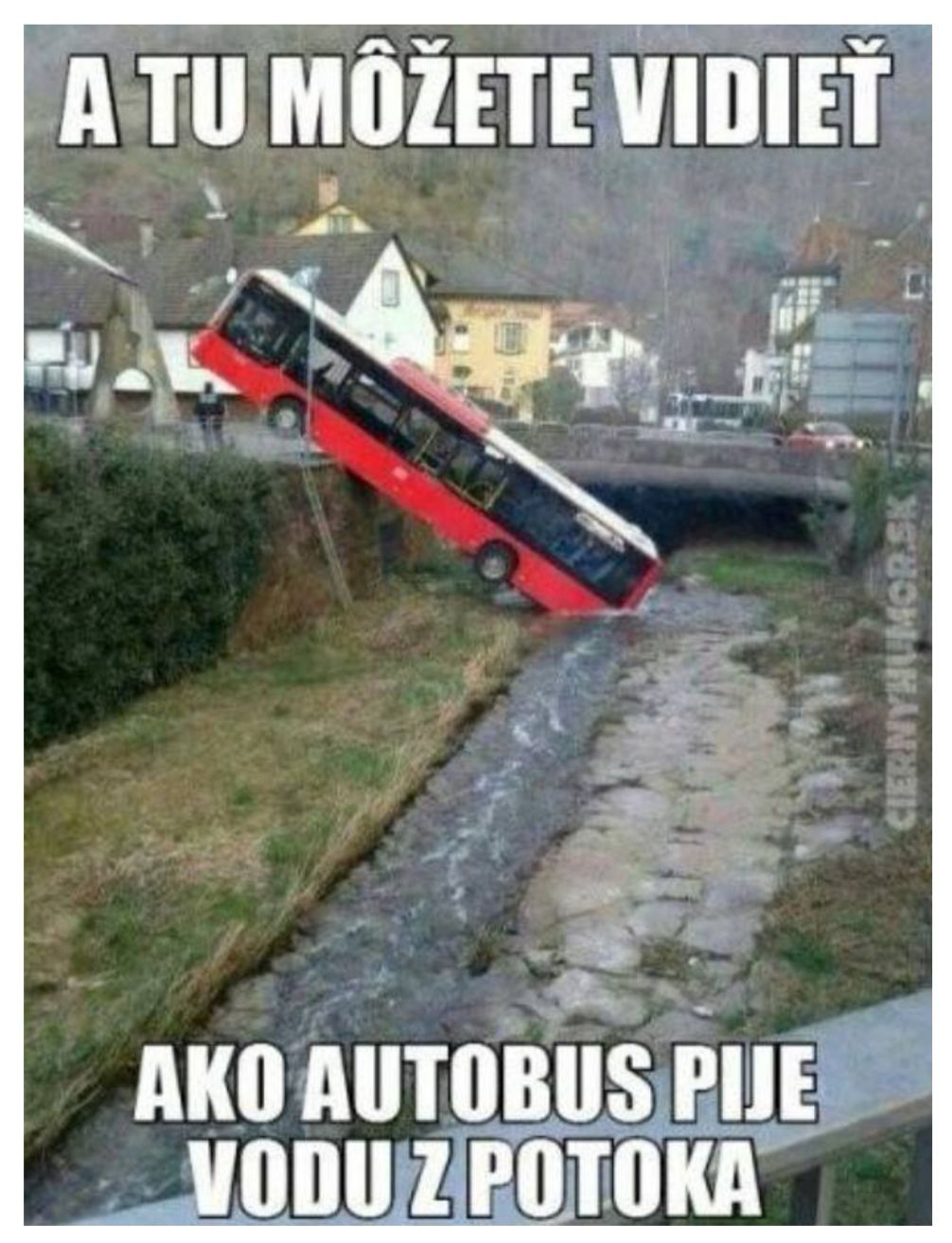 53bef4e1-9545-461d-b3f0-5ddfd175e372