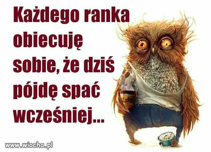 89255321-e99b-4cb4-beed-7480ef5629e6