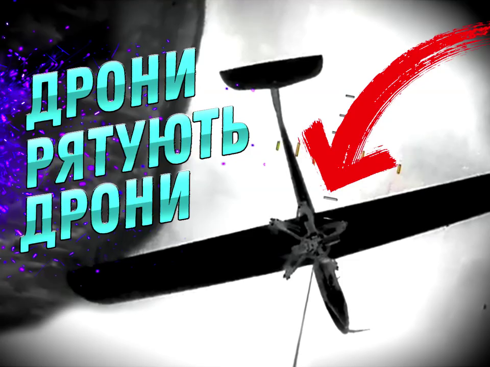 e11b2d46-0ac5-43b3-8b3e-1b9430b5b2ed