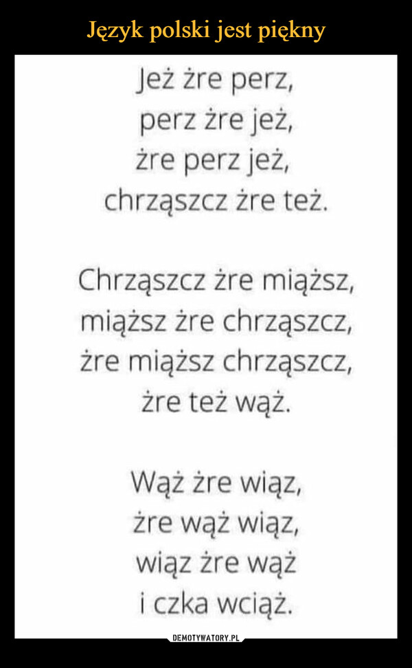 c8a60763-55a8-466f-bb3e-da8a63ac2cd1