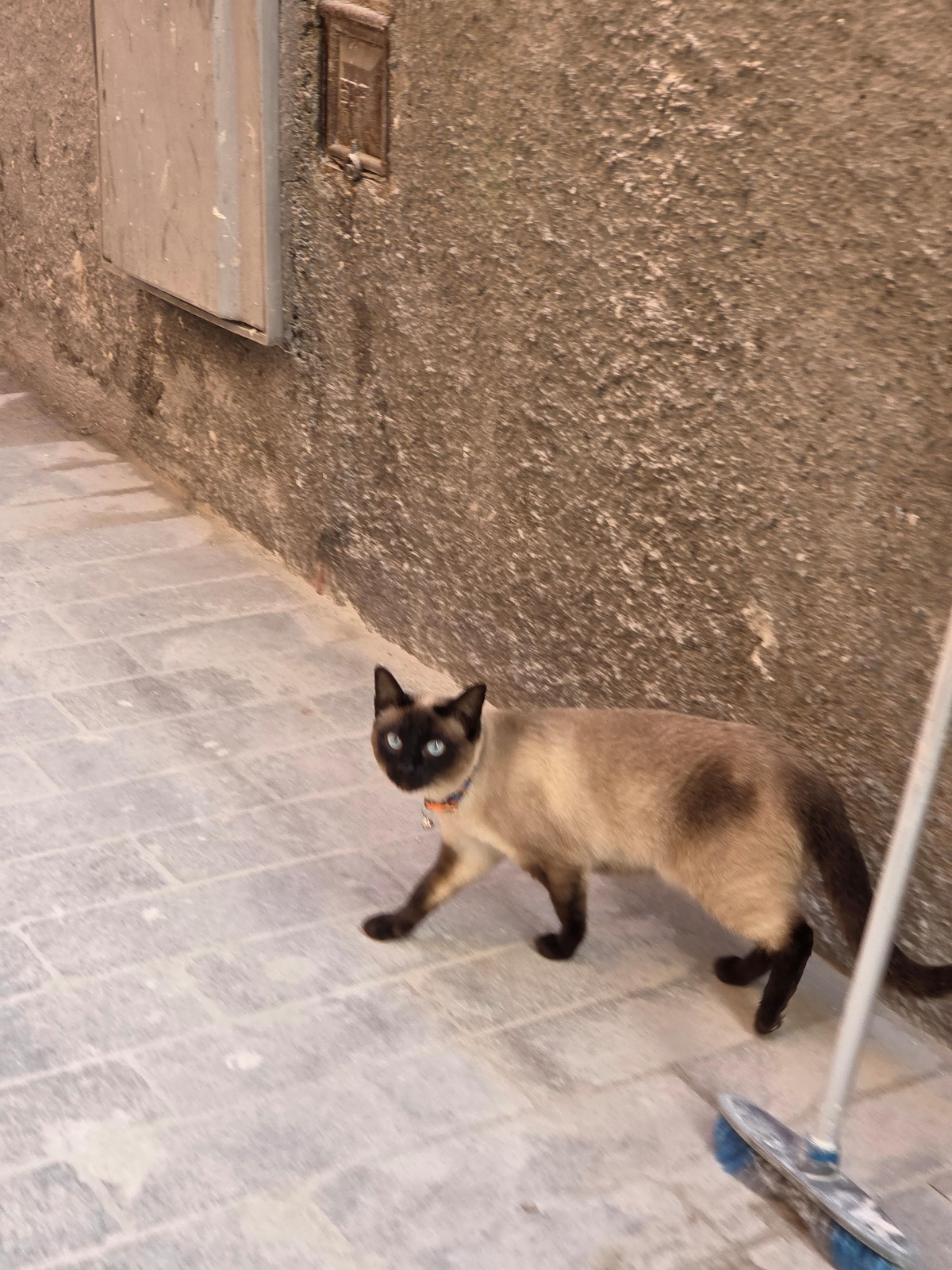 f4f628ed-c763-4b20-bd84-3871c31a0bbb