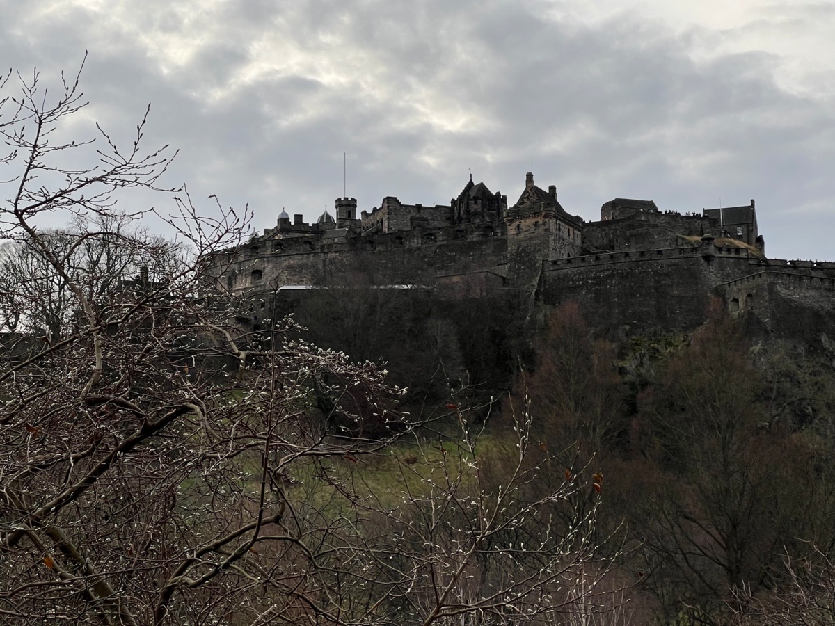 2e3d29b7-725f-470c-be2f-5782507646ab