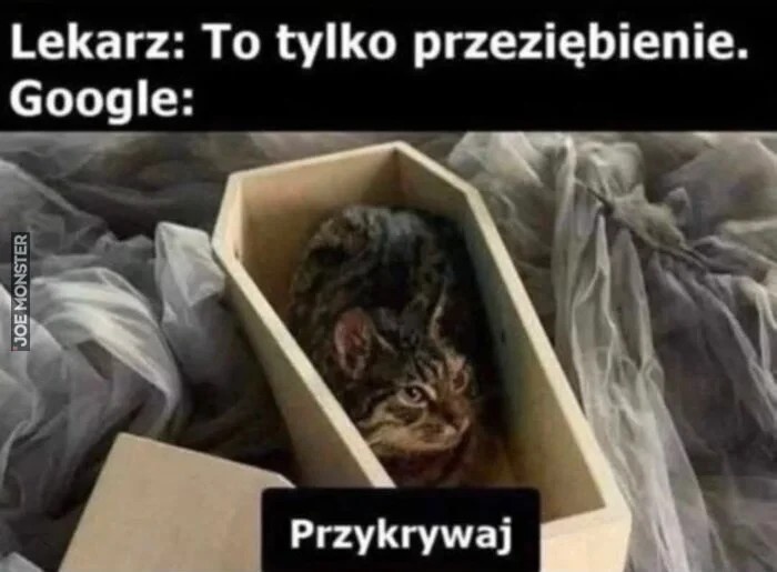 5bb229c0-ab02-488a-9017-0717e4f51db0