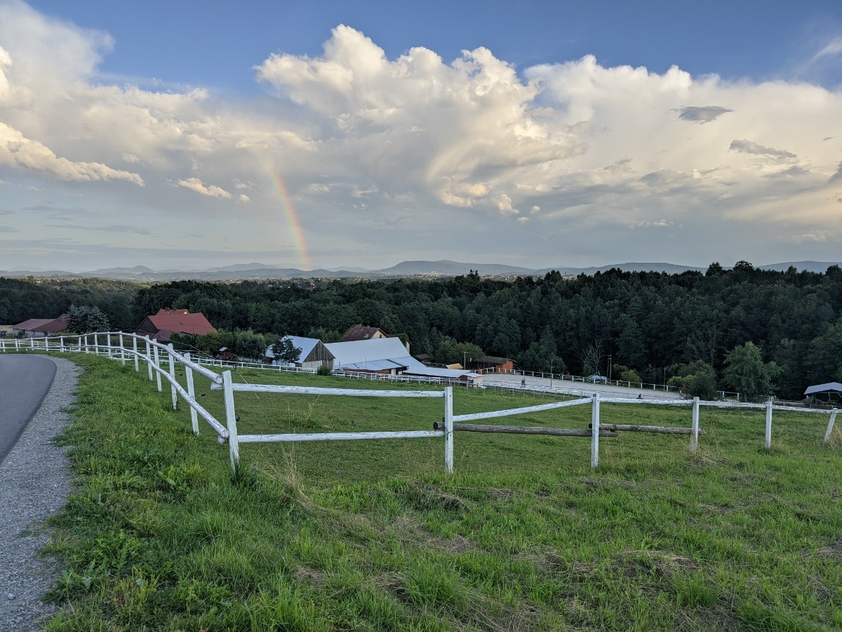 31e5d6b9-b244-4da5-87ef-34c858a9e8e5