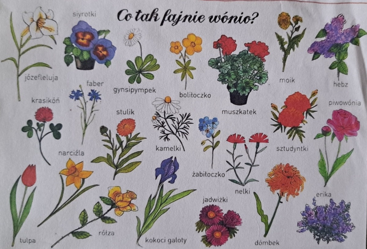 67fbd80f-5186-4099-add5-29fd453894e6