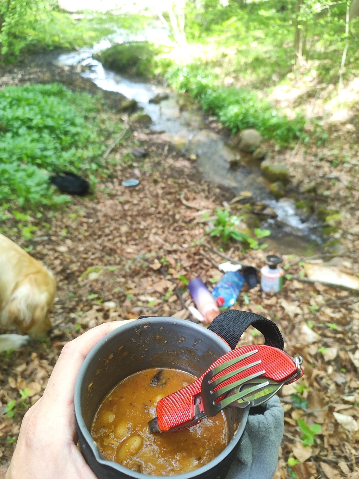 8fcf5630-3e65-477c-b500-71adffd12a99