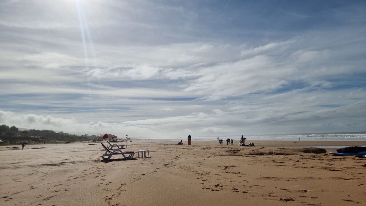 5c38368a-b4f4-46ab-9105-3afc6a13a992