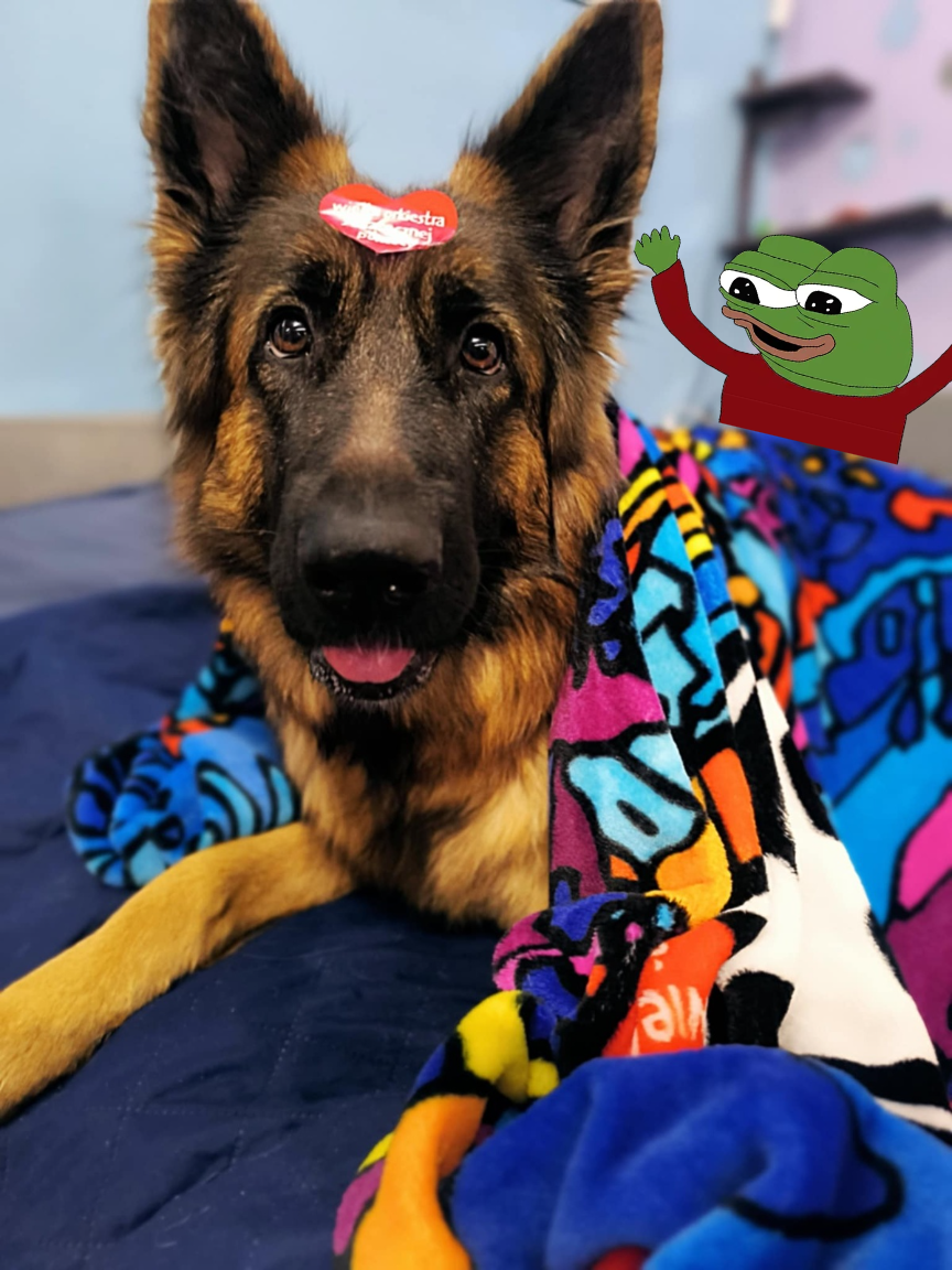 8b0b5e17-95fd-48bf-9008-84ebde9b6a9d