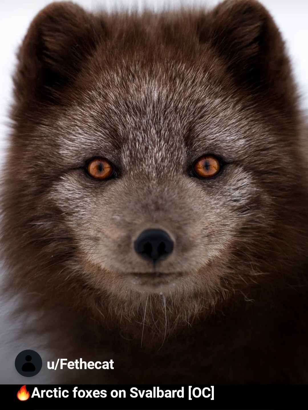 28dcf4b4-e3e6-4d23-a418-d68cfc0bf81d