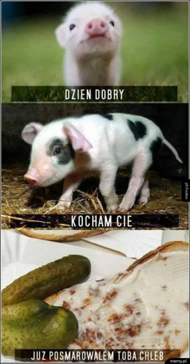 ffdc4b0e-dde9-40b2-9ace-66a5c54b8fc5