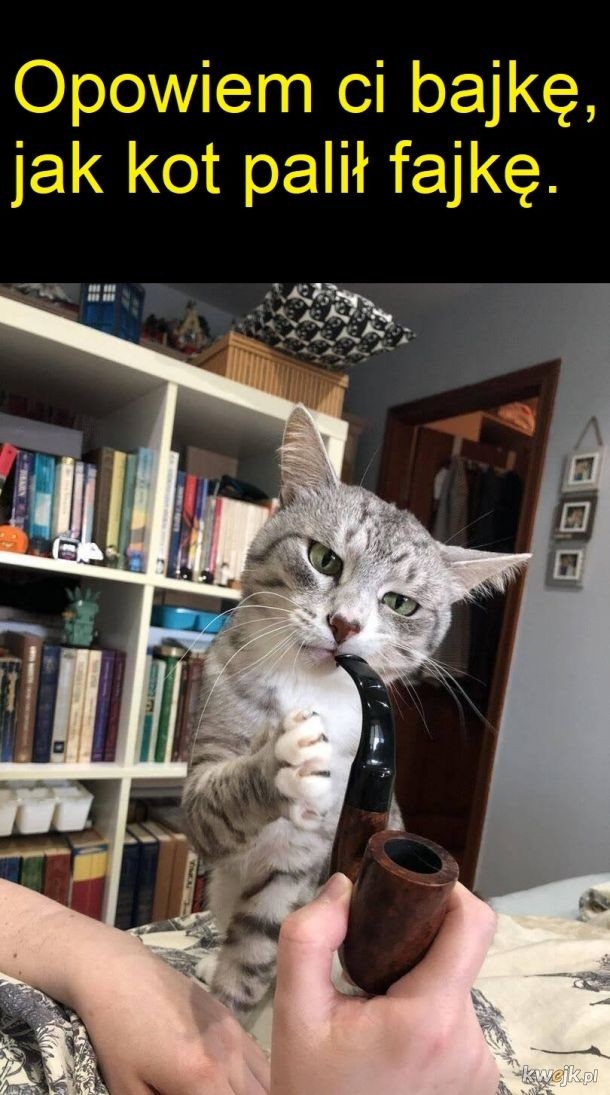 e4122986-3c0b-43b0-ab93-094c68d9eb01