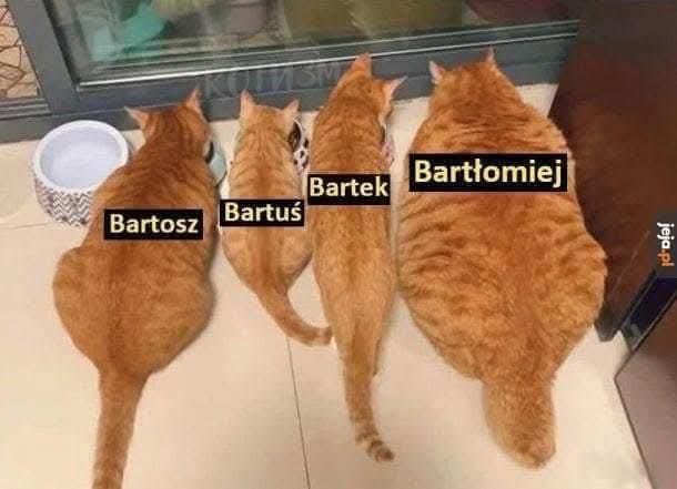 145fa4c5-2ba6-4c35-9b27-ebc15b2c37f7