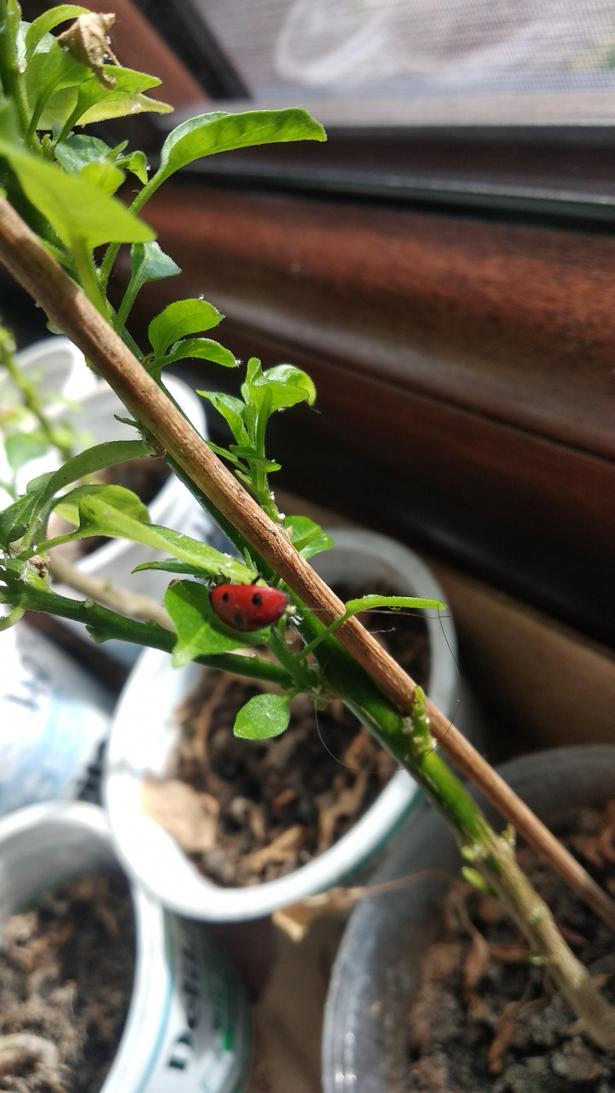 61ef5692-66bf-4b6f-8473-59bac7b6a81f