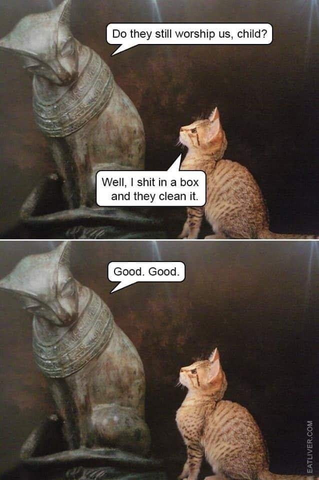 e65536c5-c8d7-473c-b52f-6d7bfc3accb1