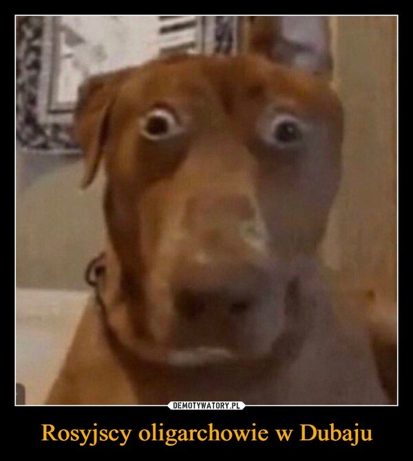 5d481303-0700-4404-a959-4fc5a4831cb8